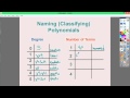 Classifying Polynomial Functions