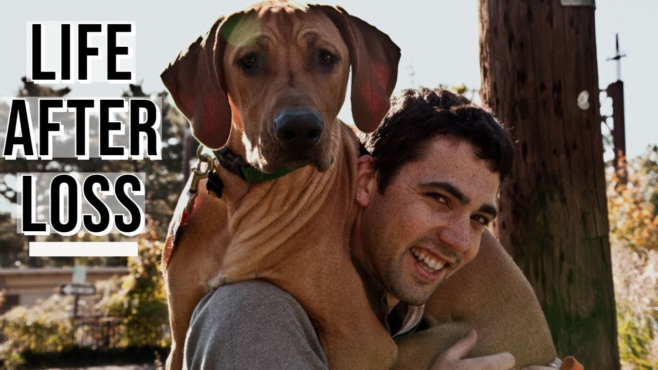 How Do You Get Over Losing Your Dog? Video Thumbnail