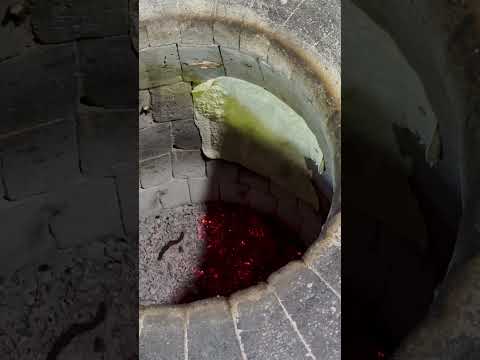 جربت العيش الأرميني 😍