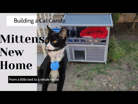 Building A Cat Condo For Mittens