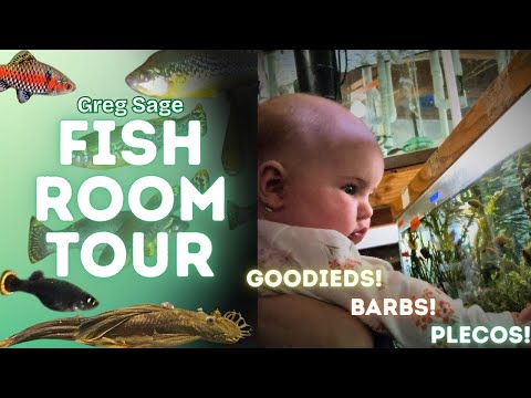 Greg Sage Fishroom Tour website: http_//www.selectaquatics.com/ 

youtube channel_ https_//youtube.com/@selectaquaticsoferie
