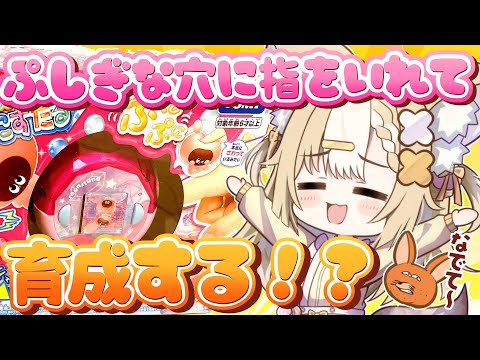 ￤企画￤ぷにるんずがきちゃあああああ！カメラ配信【飴望にぃな/ Varium】