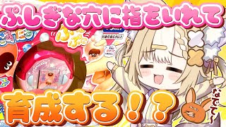 ￤企画￤ぷにるんずがきちゃあああああ！カメラ配信【飴望にぃな/ Varium】