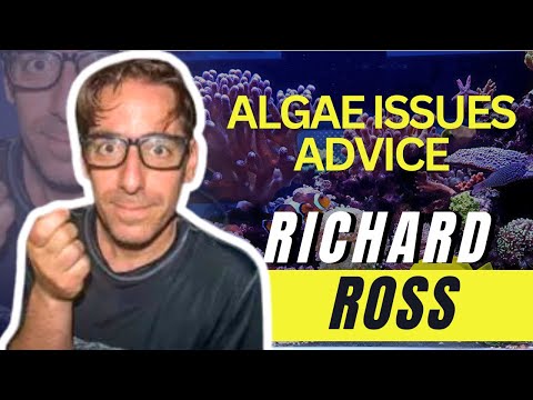 How to Control Aquarium Algae... - Richard Ross 🛑 👉Find out when our next event is!  ➡️ Aquashella Tickets_ https_//bit.ly/3oG2Dd6

The Aq