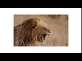 Understanding Key Terms in Video Structure