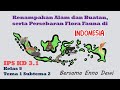 Geography and Climate of Indonesia