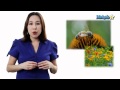 Interspecific Interactions and Relationships