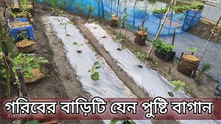 প্রতিটা ঘর যেনো এক একটি পুষ্টির কারখানা 