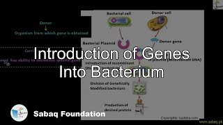 Introduction of Genes Into Bacterium