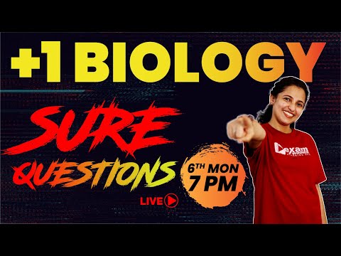 Plus One Model Exam Live | Biology | Sure Questions | Exam Winner