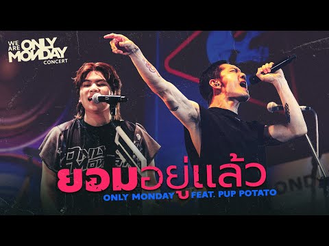 WE ARE ONLY MONDAY CONCERT - ยอมอยู่แล้ว Feat. ปั๊บ POTATO