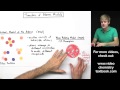 Exploring the Evolution of Atomic Models