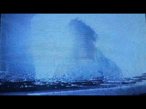 Nyli - Not The Same (Shot By @g.hos.t)