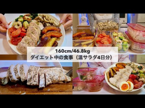 【4日間温サラダダイエット🔥】-14kg達成!🔥ダイエット中のリアル4日間の食事🍱｜ワンプレートサラダ4日分🥗｜Healthy Salad Recipes For Weight Loss【ダイエット】