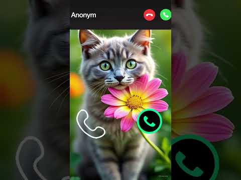 Cat Calling 😮#ringtone #cat #gato #babygirl #youtubeshorts #catlovers #viralvideo #mi #shorts