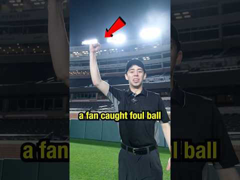 How to call a fan caught foul ball as an out 🔥 #baseball