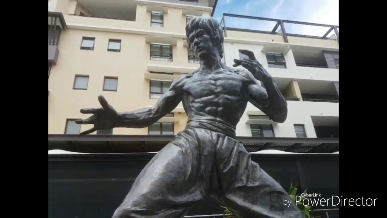 Австралия бесплатно на улице вещи памятник брюс ли галлерея картины