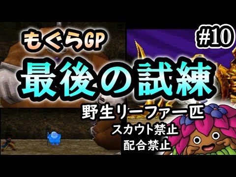 【DQMJ2p】最初に貰ったリーファ一匹で全クリ挑戦(配合禁止・スカウト禁止)part10