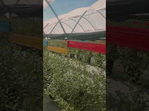 #الظروف #film #العظماء #movie #المراه #العلم