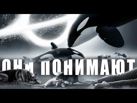 Как понимают СМ@#ТЬ животные? Научное исследование