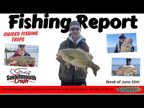 ST. LAWRENCE RIVER & LAKE ONTARIO WEEKLY SMALLMOUTH REPORT