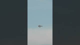 Jets flyover Montreal #f18 #jets