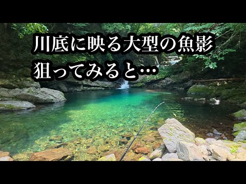 【渓流】川底に映る大型の魚影を狙ってみると…