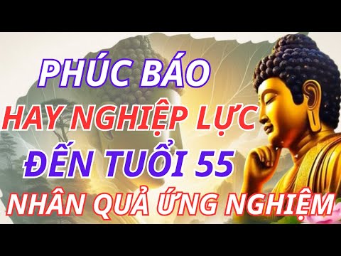Đến Tuổi 55, Mọi Nhân Quả Đều Ứng Nghiệm – Lời Phật Dạy Khi Phúc Báo Và Nghiệp Lực Gặp Nhau
