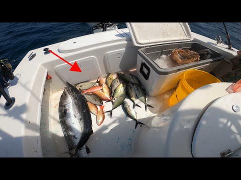 We had a different plan BUT this worked out perfectly ** Bottom fishing 18 miles out of PONCE INLET