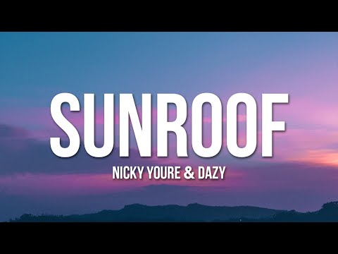 Nicky Youre, dazy - Sunroof (Lyrics)