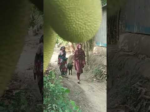 তারার প্রথম ভিডিও