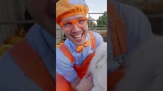 Spell With Blippi!! #BINGO #puppy #blippi