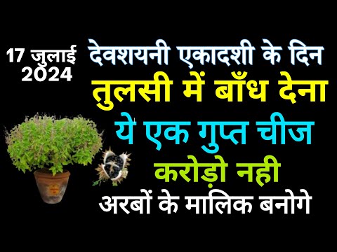 17 जुलाई 2024 देवशयनी एकादशी के तुलसी के पौधे में बांध देना ये 1 गुप्त चीज इतना.