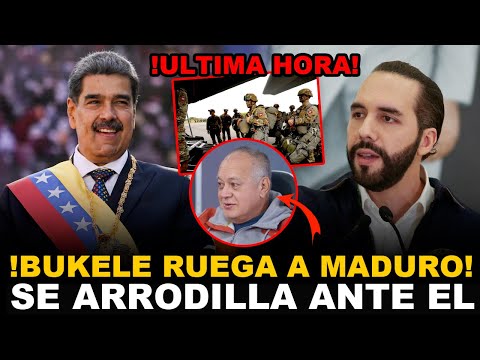 BUKELE PEDIRA PETROLEO A MADURO Y MILEI A JUICIO EN ARGENTINA!