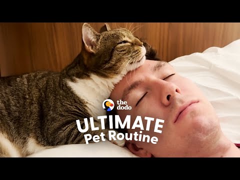 Karen The Cat Is Obsessed With Doing Everything Her Dad Does | The Dodo