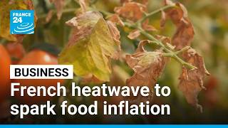 YouTube video thumbnail: French Heatwave Threatens Food Inflation as Agriculture Sector Suffers 