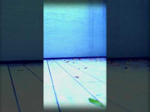 #rain #piano