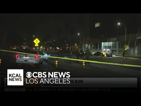 Deadly hit and run in Santa Monica