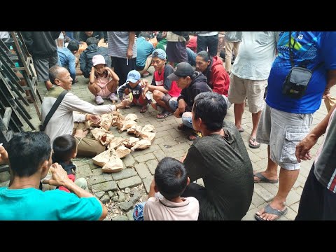 BAPAK INI JUALAN BURUNG GAK PERNAH PAKAI SANGKAR DAN MURAH2 HARGANYA‼️