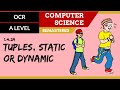 Understanding Tuples in Computer Science