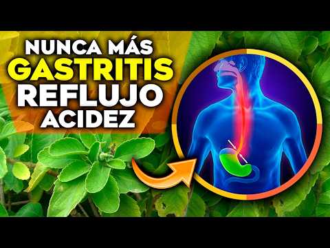 6 Plantas MILAGROSAS para CURAR la GASTRITIS, el REFLUJO y la ACIDEZ ESTOMACAL | Remedios Naturales