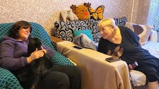 видео