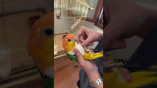 Hepsi iyiydi de kızımdan yanlışlıkla biraz fazla aldık