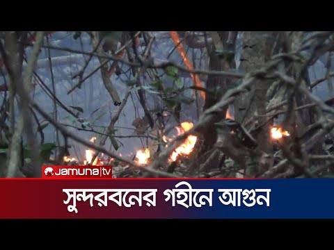 সুন্দরবনের আগুন এখনও জ্বলছে | Sundarban fire | Forest Fire | jamuna TV