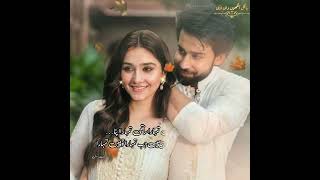Agar yeh Keh do bagher Mere Nahi Guzara to Main tumhara
