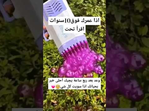 #لايك #متابعه #foryou #اكسبلور #لاتنسوا_الاشتراك_في_القناة_وتفعيل_الجرس #يارب #fyp #viral#اغاني