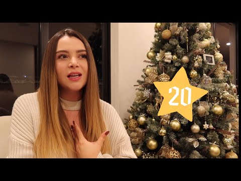 TAG del Embarazo! Solo conmigo como en los viejos tiempos - Vlogmas día 20