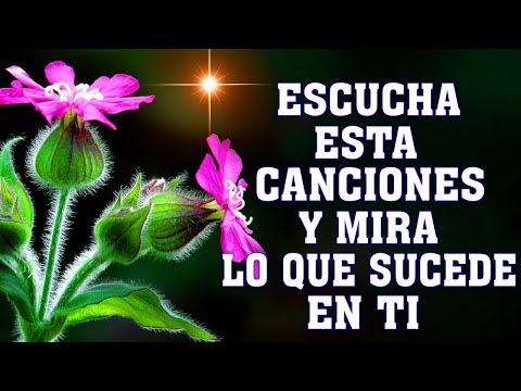 HERMOSAS ALABANZAS CRISTIANAS DE ADORACION 2024 - MUSICA CRISTIANA DE ADORACION Y ALABANZA