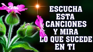 HERMOSAS ALABANZAS CRISTIANAS DE ADORACION 2024 - MUSICA CRISTIANA DE ADORACION Y ALABANZA