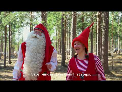 Spring is here on the Arctic Circle Rovaniemi The Official Hometown of Santa Claus®